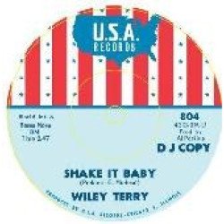 Wiley Terry / Miss Ann Littles - Shake It Baby / I Will Be Got Dog