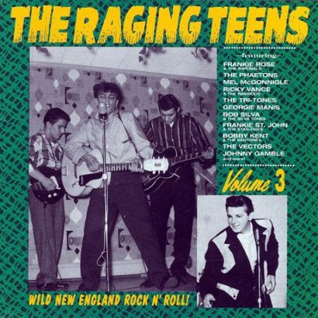 Raging Teens - Wild New England Rock ´n´ Roll Vol.3