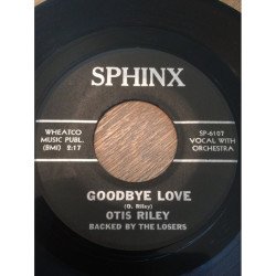 Goodbye Love/ The Zebra