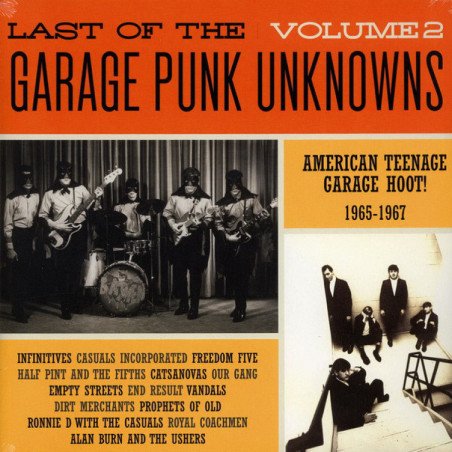 Last of the Garage Punk Unknowns - Vol. 2