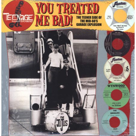 Teenage Shutdown - You Treated Me Bad