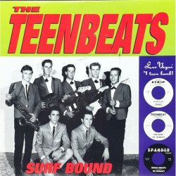The Teenbeats - Surf Bound