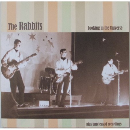 Looking in the Universe