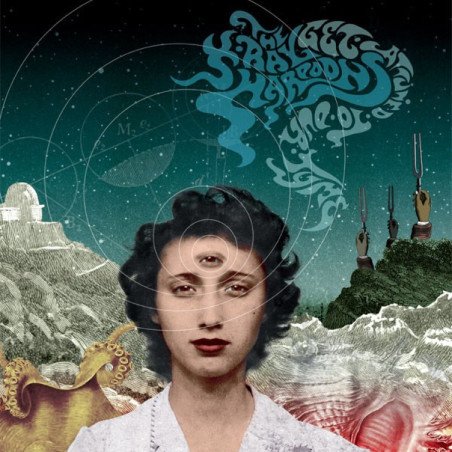 Get Attuned To Our Tyme