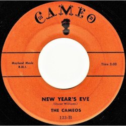 Merry Christmas / New Year's Eve