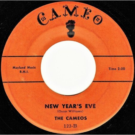 Merry Christmas / New Year's Eve