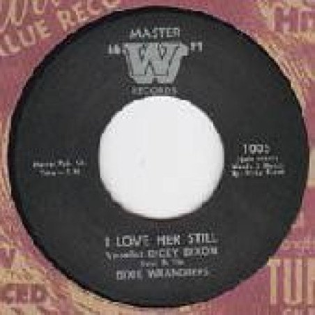 Dixie Wranglers - I Love Her Still / Space Sickness